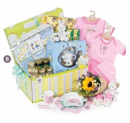 Noel Gifts - Baby Gifts Singapore