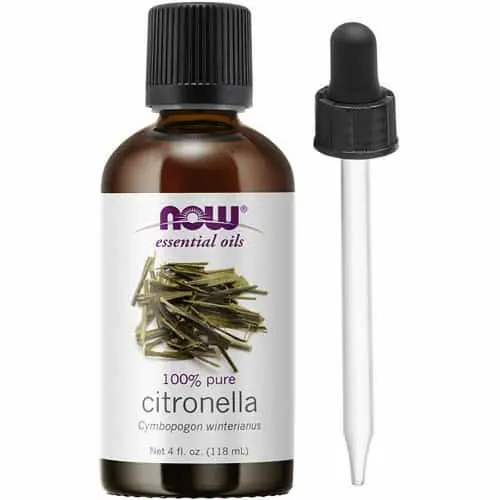 Now Foods Essential Oil Citronella - Essential Oil Singapore