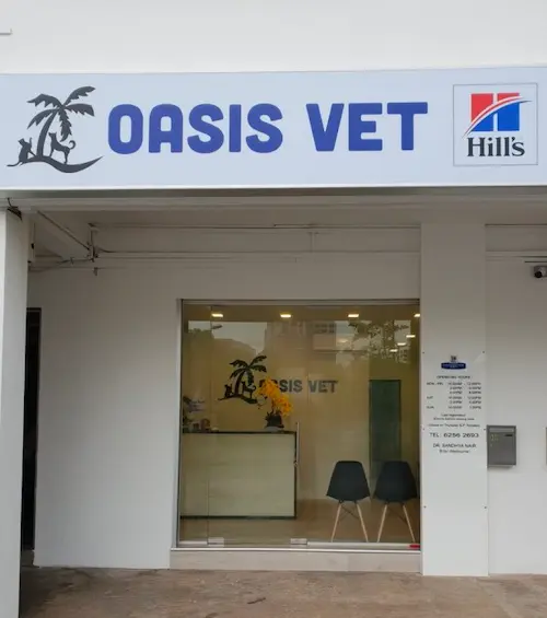  Oasis Vet Clinic - Vet Clinic Singapore   