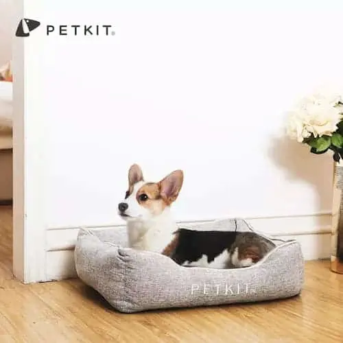 PETKIT All-Season Dog Bed - Dog Beds Singapore