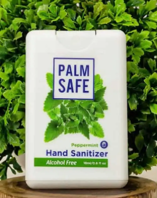 Palm Safe Hand Sanitizer - Hand Sanitizers Singapore