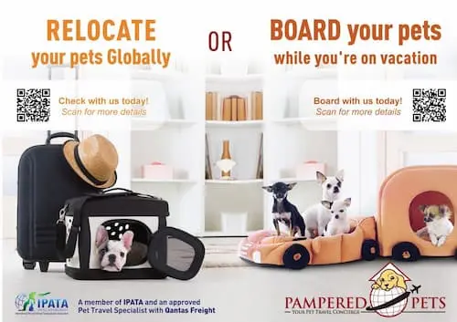 Pampered Pets - Singapore Pet Relocation