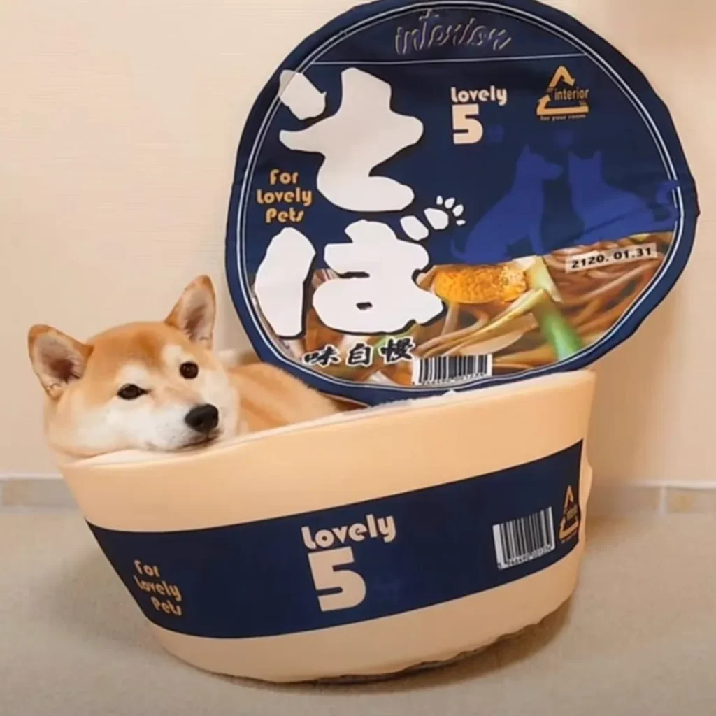 Pazazz Ramen Cup Noodles Dog Bed - Dog Beds Singapore