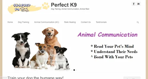 Perfect K9 Dog Training - Dog Training Singapore (Credit: Perfect K9 Dog Training) 