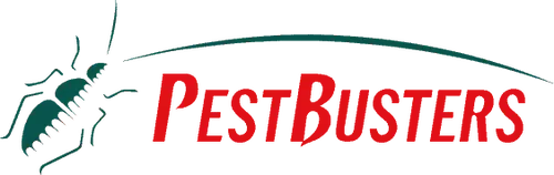 Pest Busters -Termite Control Singapore