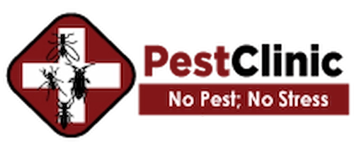  Pest Clinic - Pest Control Singapore (Credit: Pest Clinic)  