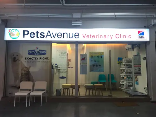 Pets Avenue - Vet Clinic Singapore