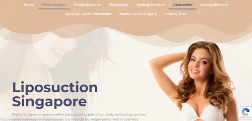 Plastic Surgeon Singapore - Singapore Liposuction (Credit: Plastic Surgeon Singapore)