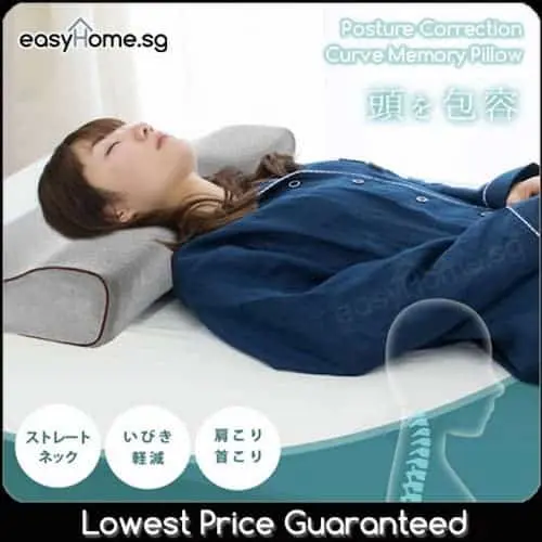 Posture Correction Curve Memory Pillow - Best Pillow in Singapore