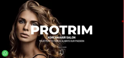 Pro Trim Hair Salon - Korean Hair Salon Singapore