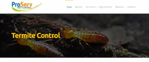 ProServ Pest  - Bed Bug Exterminator Singapore