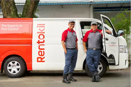 Rentokil -Termite Control Singapore