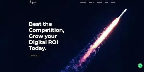 Rogue Digital - SEM Agency Singapore