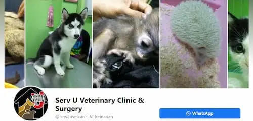 Serv U Veterinary Clinic & Surgery  - Vet Clinic Malaysia