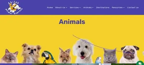 Shiloh Animal Express- Singapore Pet Relocation