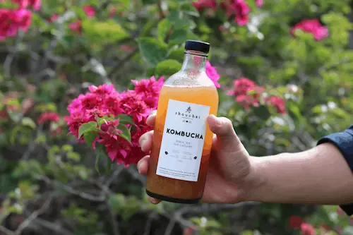 Shouchai - Kombucha in Singapore