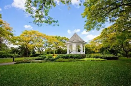 Singapore Botanic Gardens - Free Things to Do in Singapore