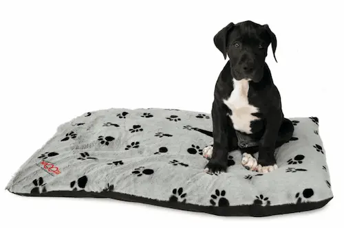 Snooza Pet Futon - Dog Beds Singapore