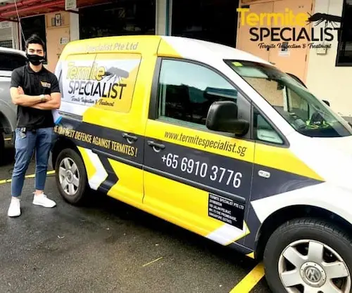 Termite Specialist -Termite Control Singapore 