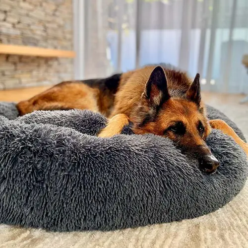 The Brooklyn Deep Sleep Pet Bed - Dog Beds Singapore