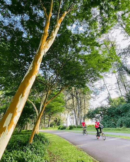 The Eastern Coastal Loop - Cycling Routes Singapore (Credit: Nparks)