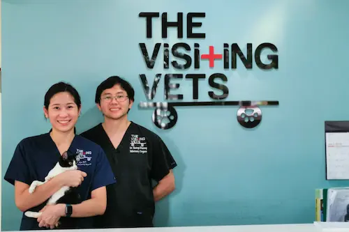 The Visiting Vets Clinic - Vet Clinic Singapore   