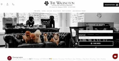 The Wagington - Dog Boarding Singapore