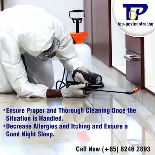 Top Pest Control - Pest Control Singapore (Credit: Top Pest Control)