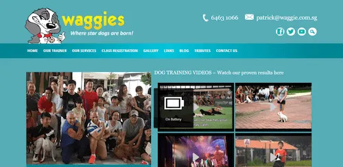 Waggies - Dog Training Singapore (Credit: Waggies) 