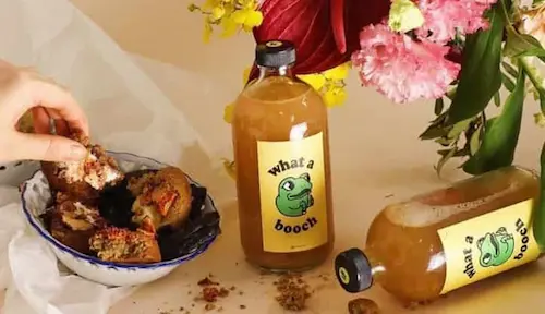 Whatabooch -Kombucha in Singapore