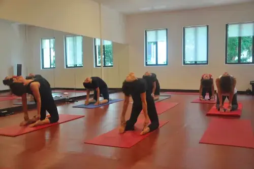 Yoga Vihara - Yoga Classes Singapore