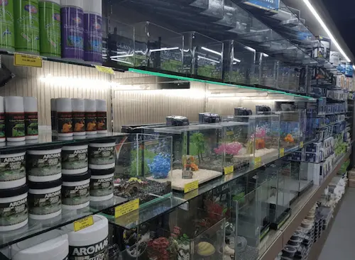 AMB Aquatic Hub - Aquarium Shop Singapore