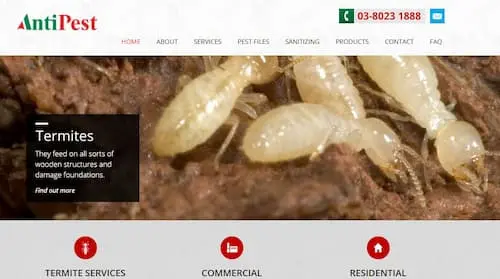 AntiPest - Termite Control KL Selangor