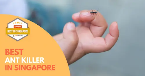 Best Ant Killer Singapore