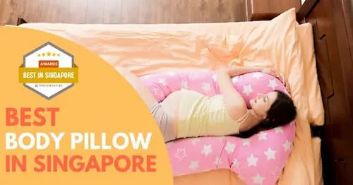 Best Body Pillow Singapore