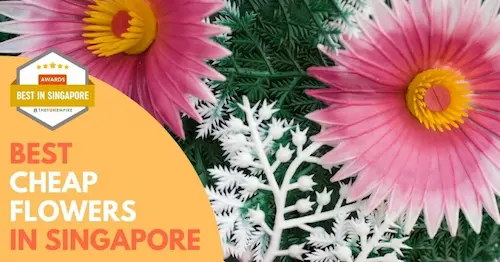 Best Cheap Flowers Singapore