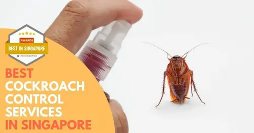 Best Cockroach Control Singapore 