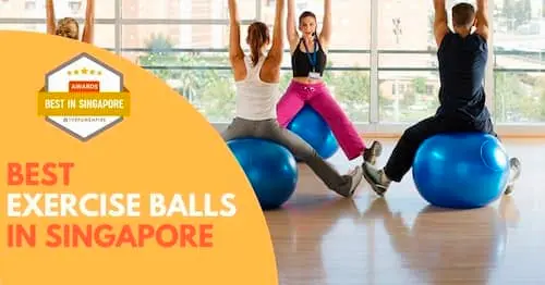 Best Exercise Ball Singapore 