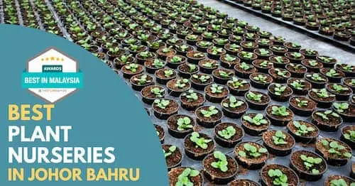 Best Plant Nursery Johor Bahru