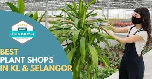 Best Plant Shops KL Selangor