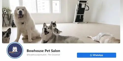 Bowhouse Pet Salon - Pet Boarding KL Selangor