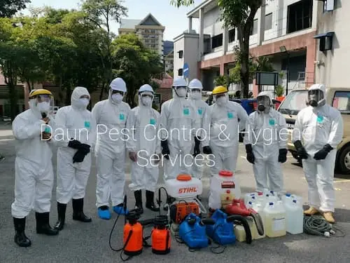 Daun Pest Control & Hygiene Services - Pest Control KL Selangor