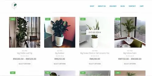 Daun.com.my - Plant Shops KL Selangor