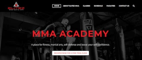 Elitez Mixed Martial Arts Fitness Academy - MMA Gym KL Selangor (Credit: Elitez Mixed Martial Arts Fitness Academy)