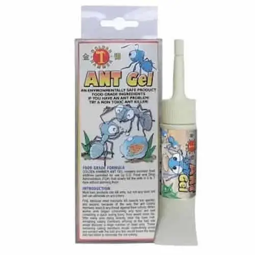 Golden Hammer Ant Gel - Ant Killer Singapore