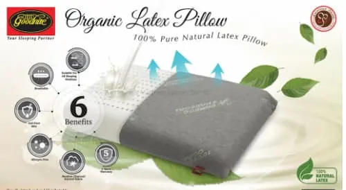 Goodnite Bamboo Charcoal Organic Natural- Pillow Malaysia