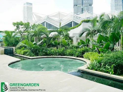 Green Garden Cleaning - Cleaning Service Singapore