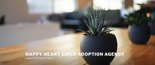 Happy Heart Child Adoption Agency - Adoption Agencies Singapore