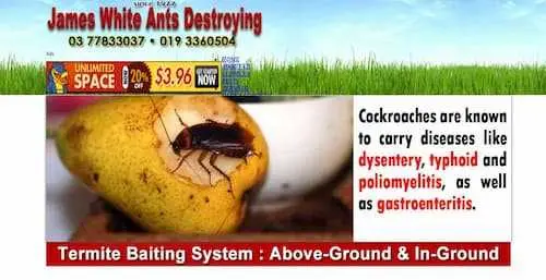 James White Ants Destroying - Termite Control KL Selangor