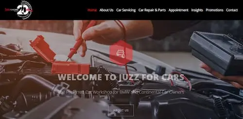 Juzz for Cars - Car Fumigation Singapore